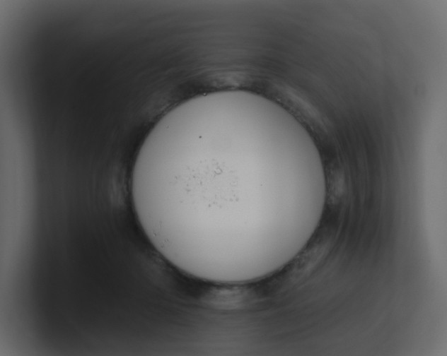 X0000101120414200807101547