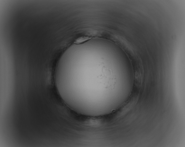 X0000101120416200807101547