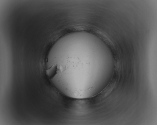 X0000101120418200807101547