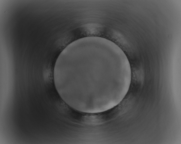 X0000101120419200807101547
