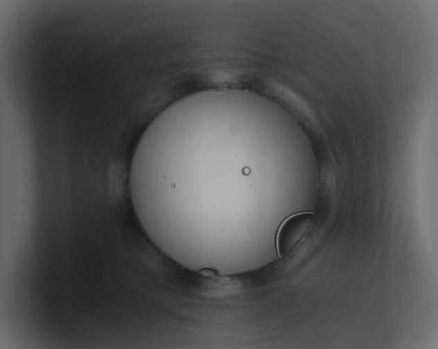 X0000101120421200807101547