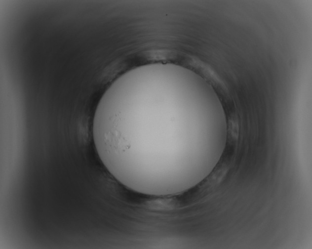 X0000101120422200807101547