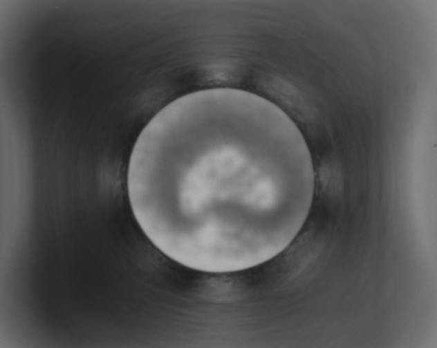 X0000101120423200807101547