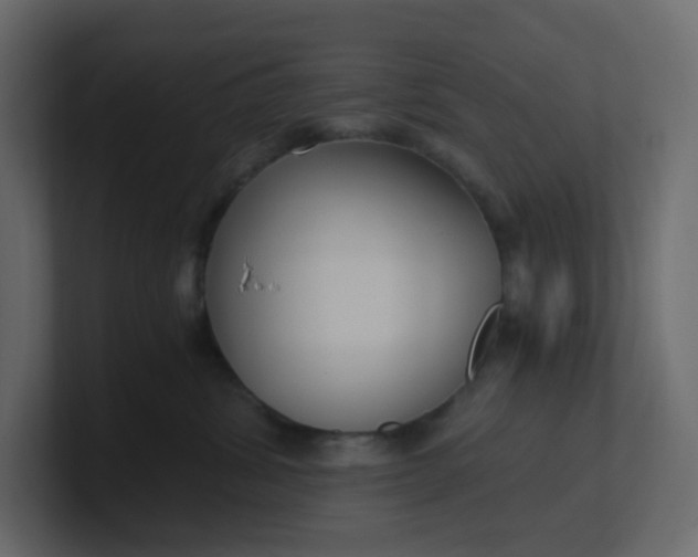 X0000101120428200807101547