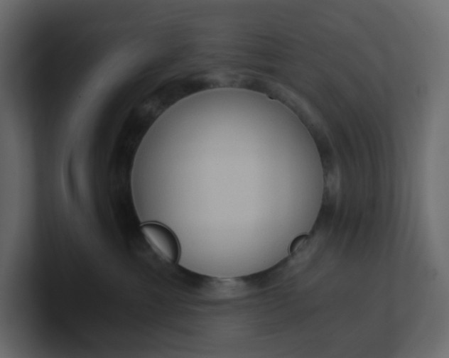 X0000101120429200807101547