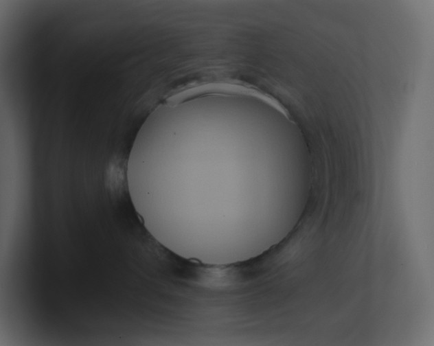 X0000101120432200807101547