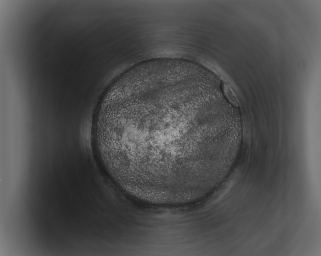 X0000101120434200807101546