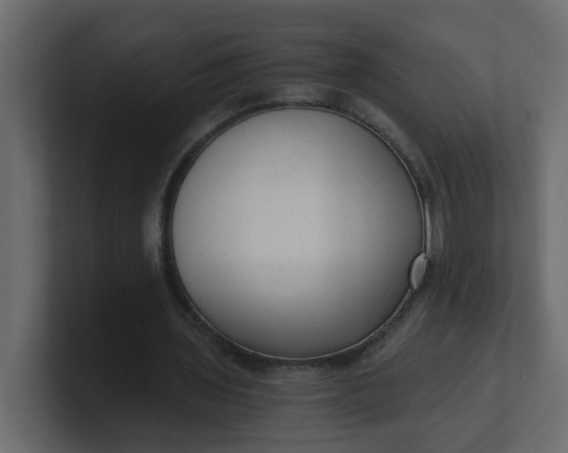 X0000101120435200807101546