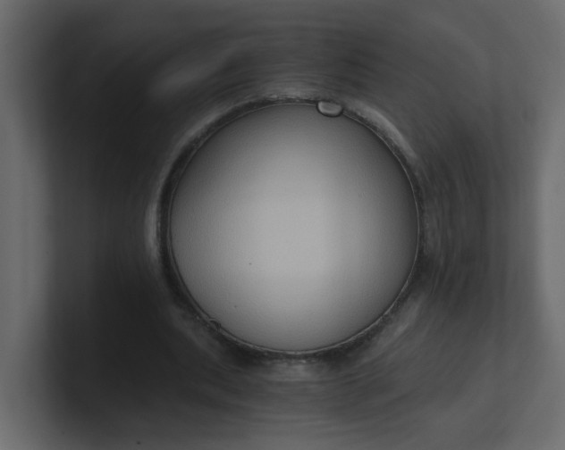 X0000101120439200807101546