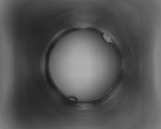 X0000101120440200807101546