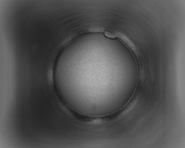 X0000101120441200807101546
