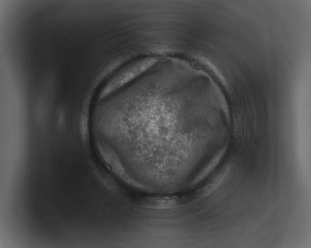 X0000101120443200807101546