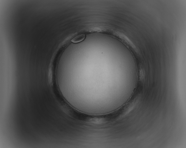 X0000101120444200807101546
