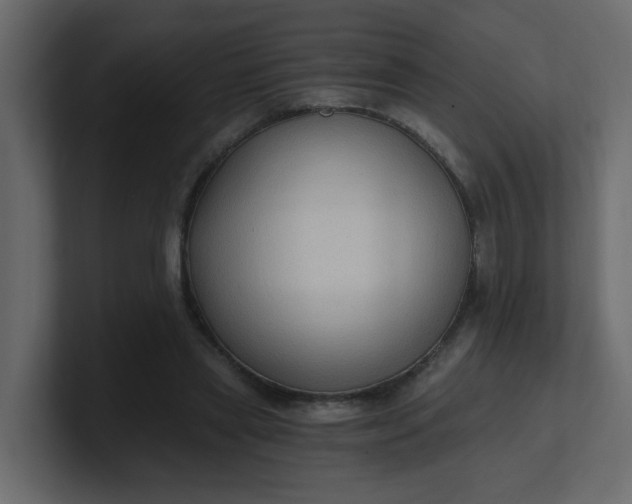 X0000101120445200807101546