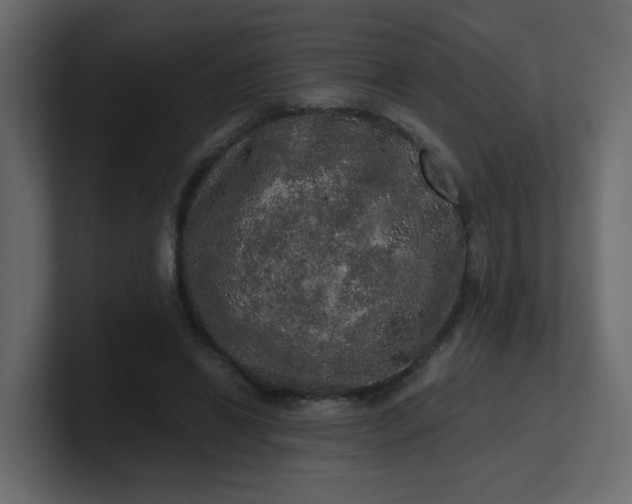 X0000101120446200807101546