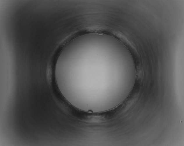 X0000101120448200807101546