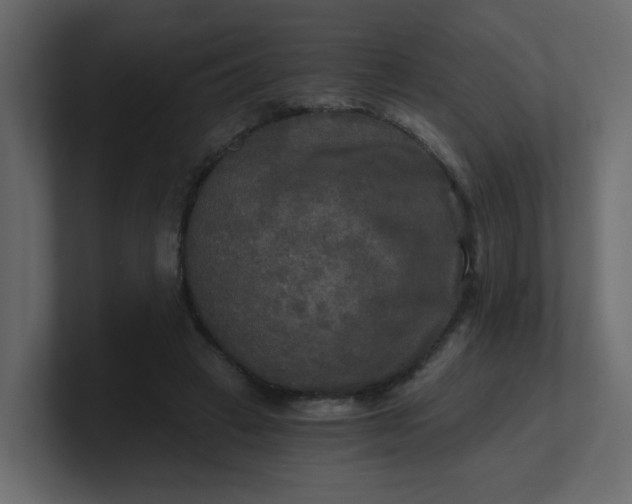 X0000101120449200807101546