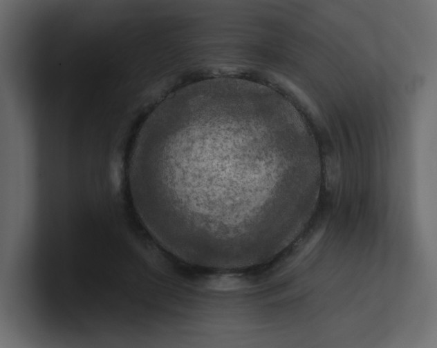 X0000101120451200807101546