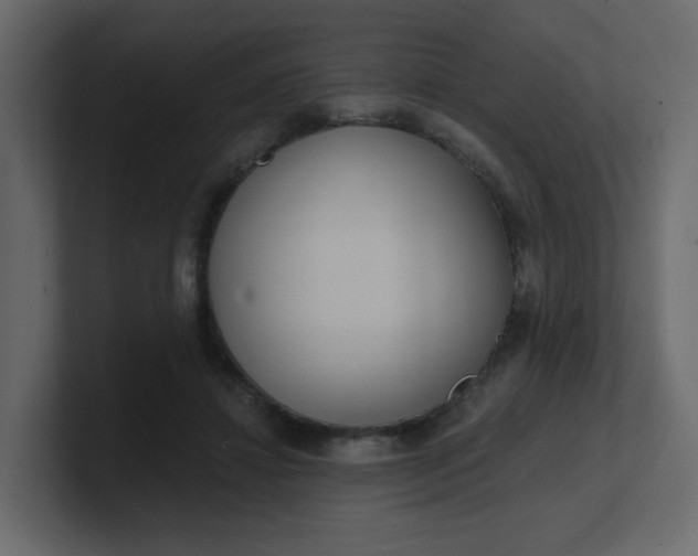 X0000101120452200807101546