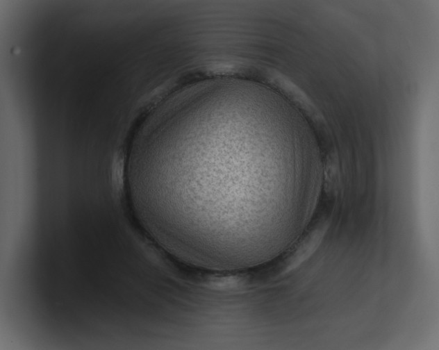 X0000101120454200807101546