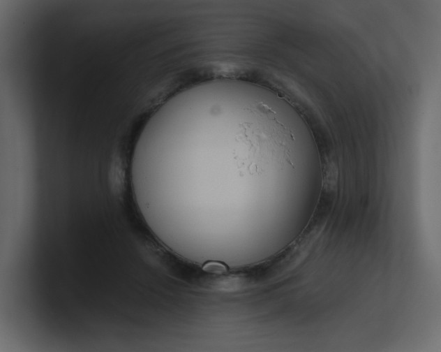 X0000101120456200807101547