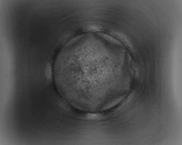 X0000101120457200807101547