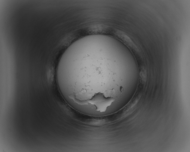 X0000101120458200807101547