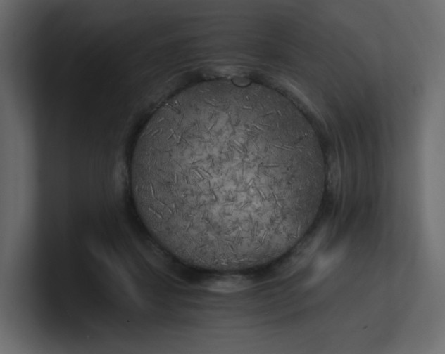 X0000101120459200807101547