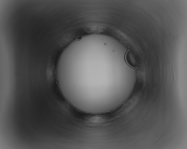 X0000101120460200807101547
