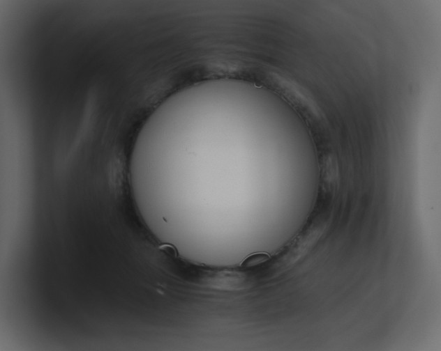 X0000101120463200807101547