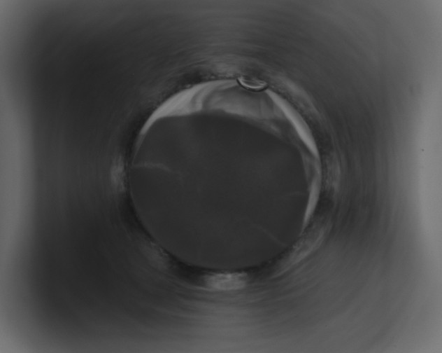 X0000101120465200807101547