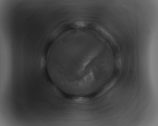 X0000101120467200807101547