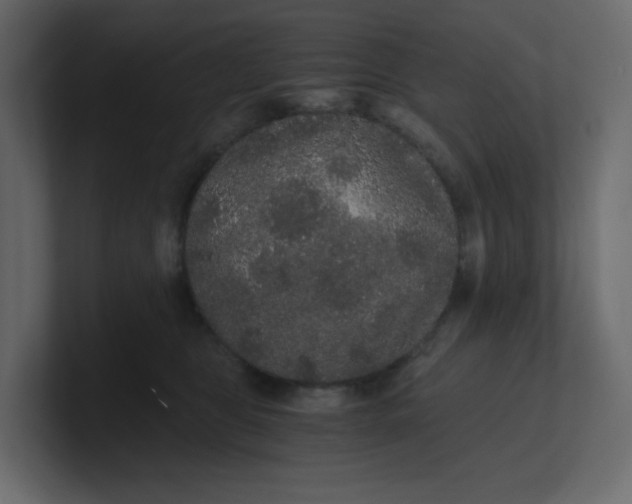 X0000101120469200807101547