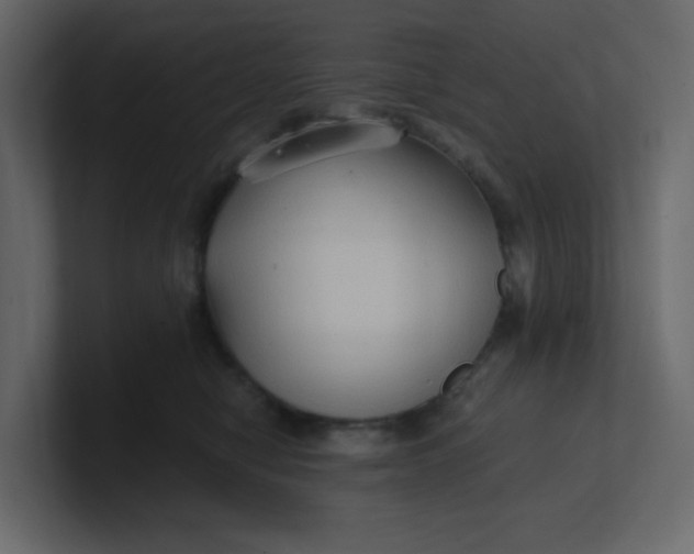 X0000101120470200807101547