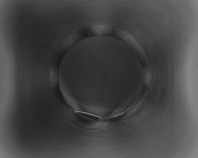 X0000101120471200807101547