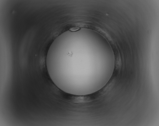 X0000101120473200807101547