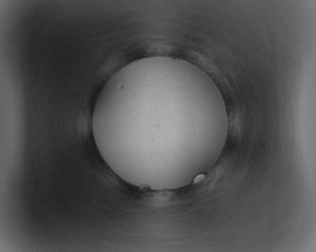 X0000101120474200807101547
