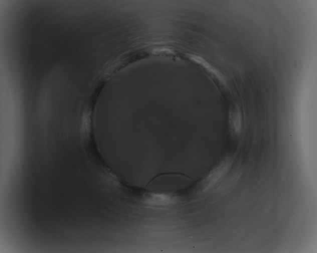 X0000101120475200807101547