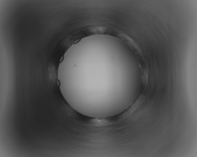X0000101120477200807101547