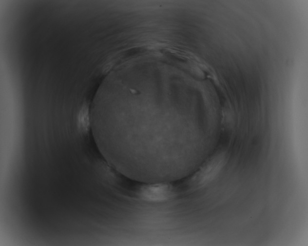 X0000101120479200807101547