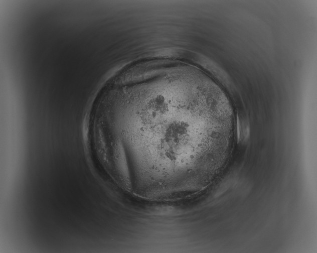 X0000101120483200807101546