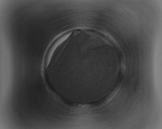 X0000101120484200807101546