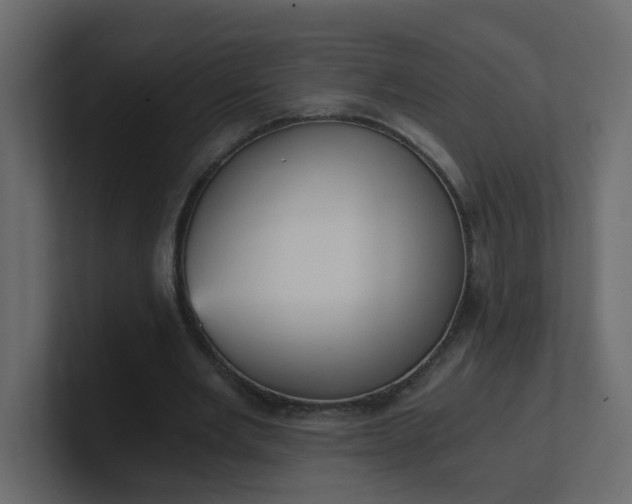 X0000101120485200807101546