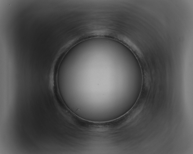 X0000101120486200807101546