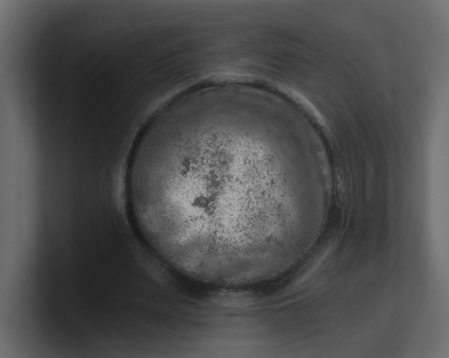 X0000101120487200807101546