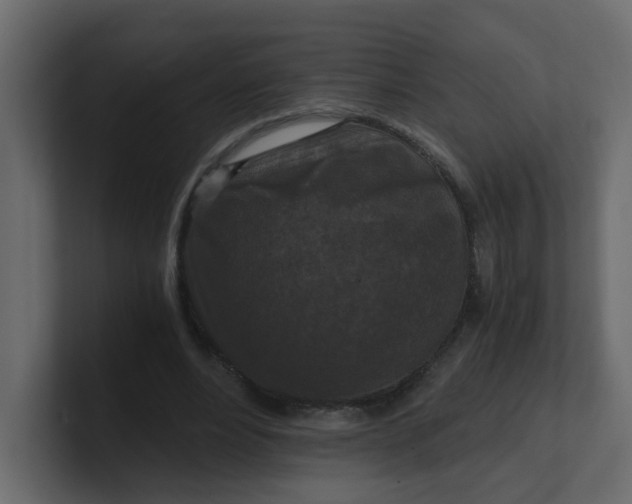 X0000101120488200807101546