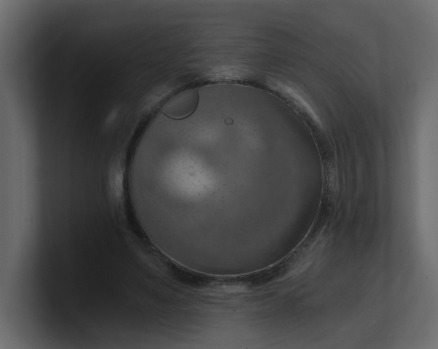X0000101120491200807101546