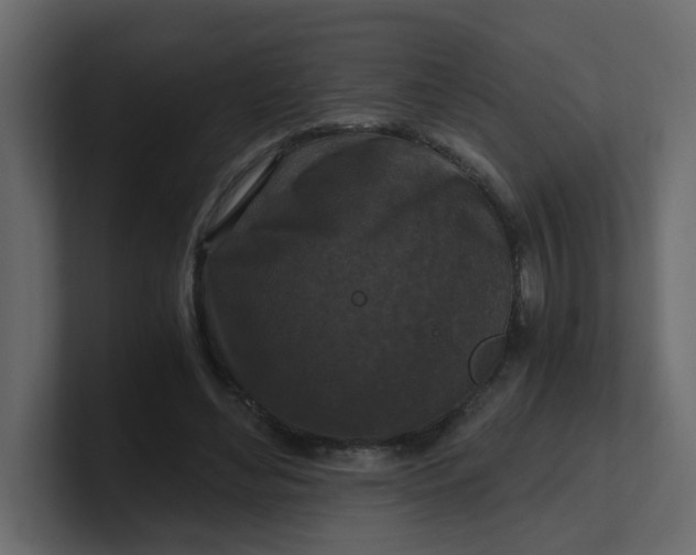 X0000101120492200807101546