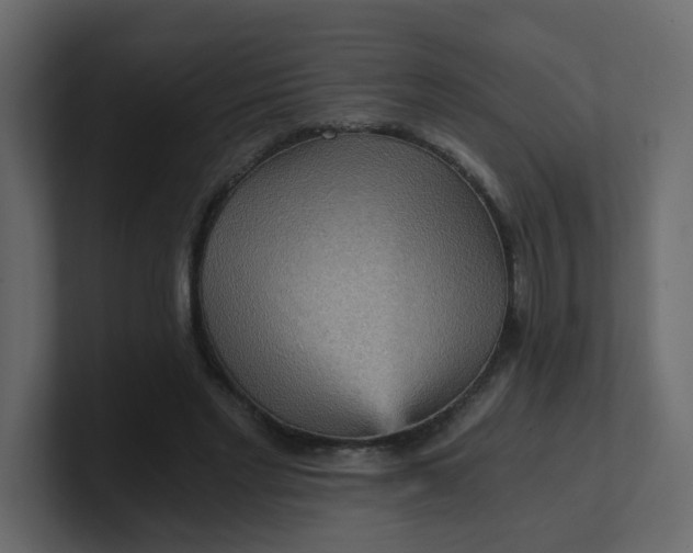 X0000101120493200807101546
