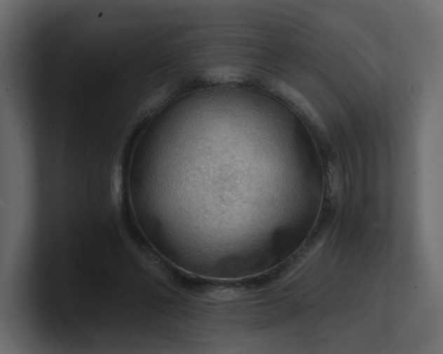 X0000101120494200807101546